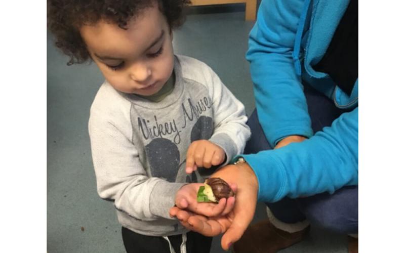 Child holding a snail